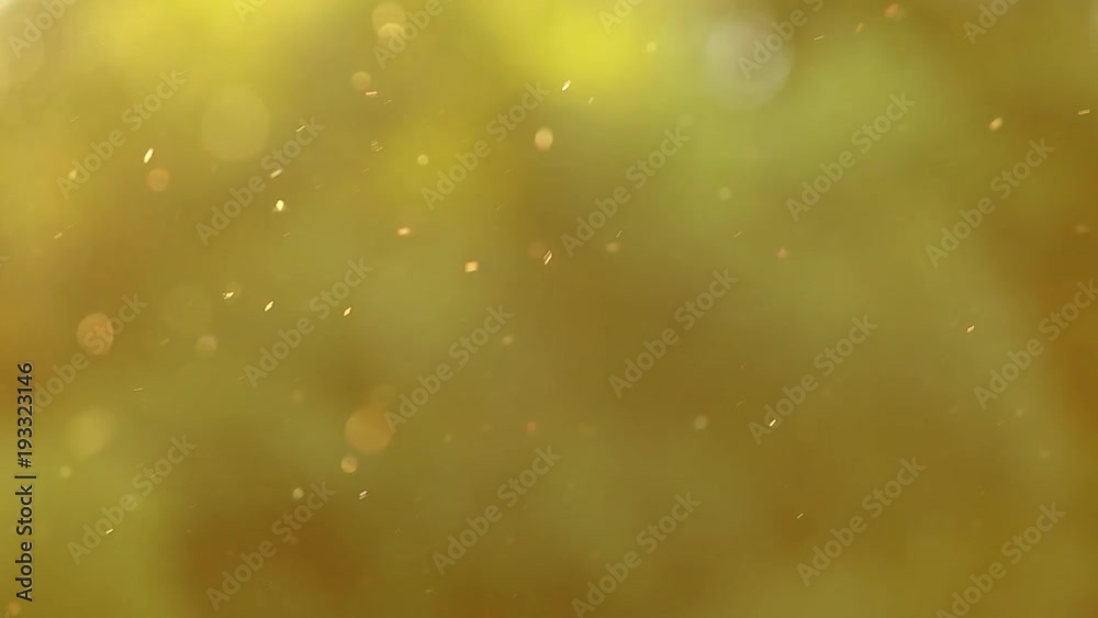Blurry pollen slowly flying in summer air at green foliage of trees in background. Charming sunset time in wood. Real time full hd video footage.