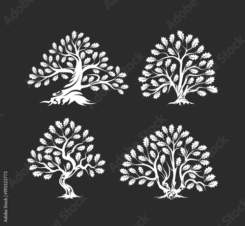 Huge and sacred oak tree silhouette logo isolated on dark background.