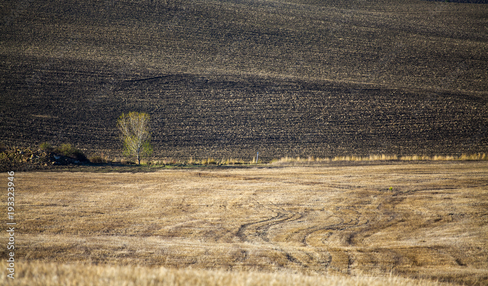 Fototapeta premium Tuscany - Landscape panorama, hills and meadow