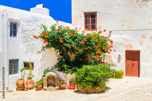 Fototapeta Naklejka Na Ścianę i Meble -  Charming floral streets of old town in Naxos island. Greece
