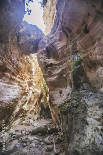 Avakas canyon. Akamas Peninsula. Cyprus landscape