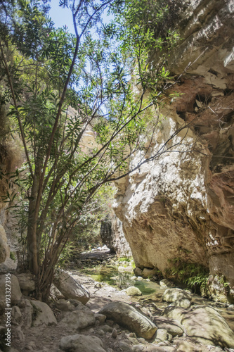 Path to Avakas canyon. Akamas Peninsula landscape. Cyprus