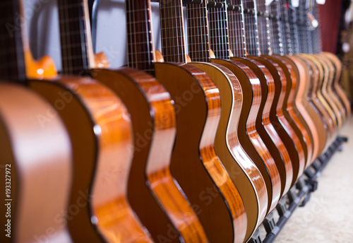 long line of new acoustic guitars in store