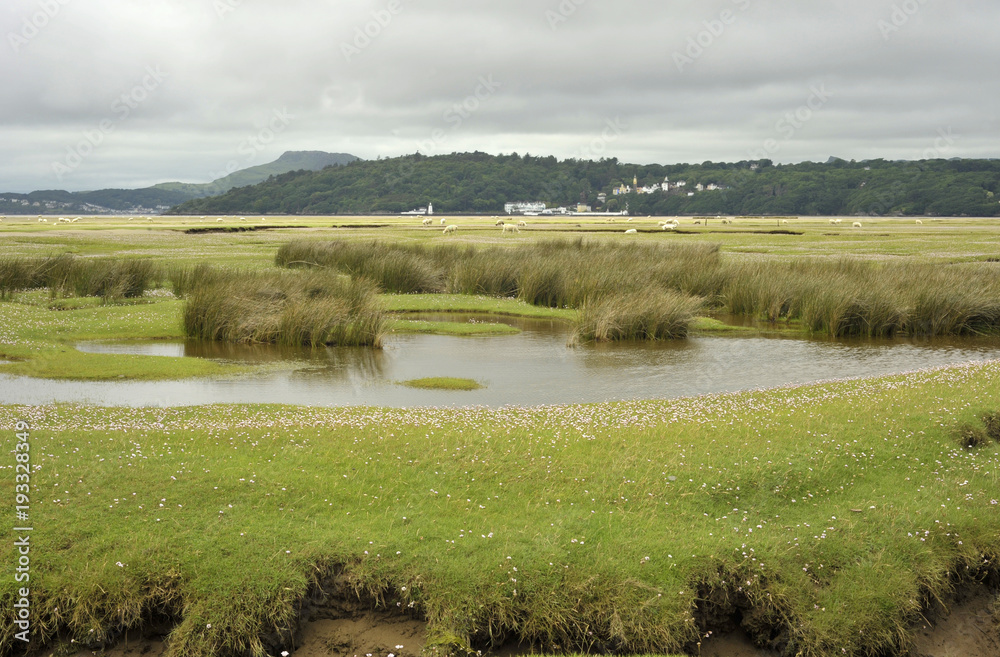 Dwyryd Estuary