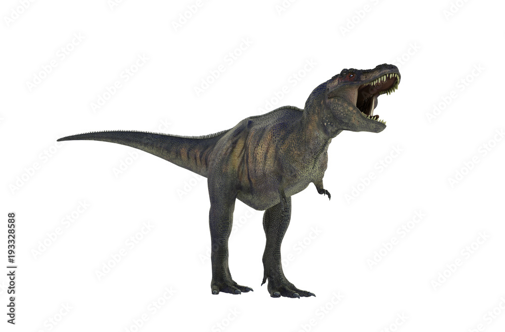 Naklejka 3D ilustracja dinosaura Tyrannosaurus Rex na białym tle