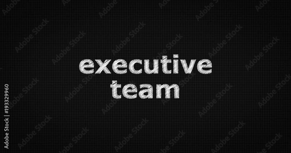 Writing or sketching a word EXECUTIVE TEAM Writing or sketching a word EXECUTIVE TEAM