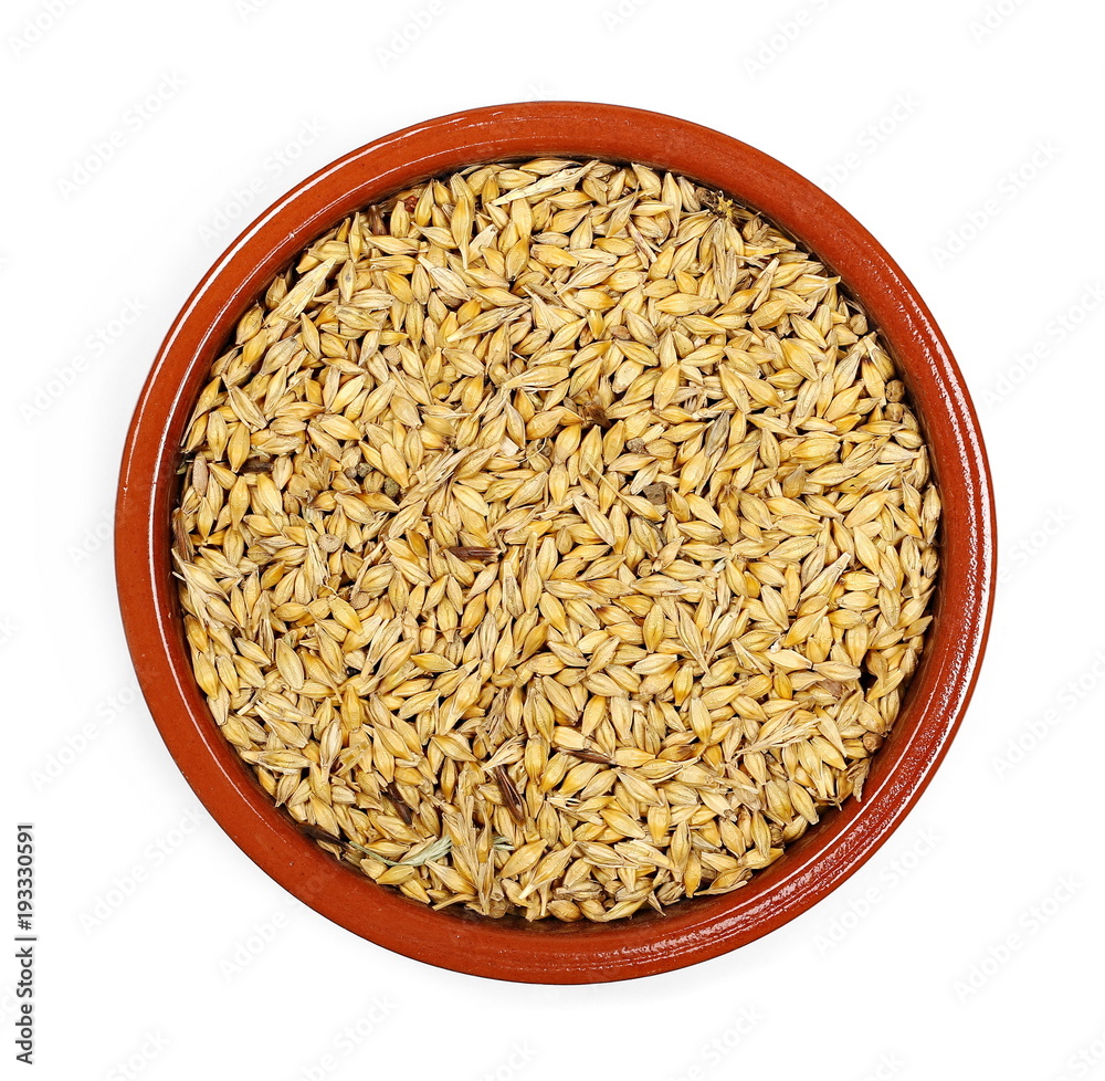 barley in clay pot isolated on white background barley in clay pot isolated on white background