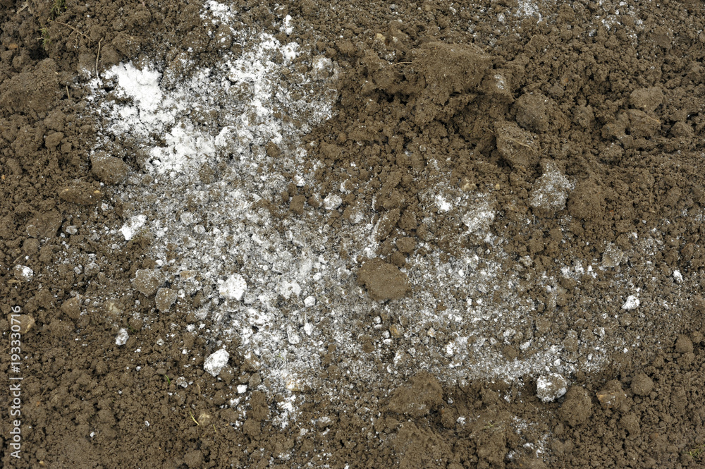 Soil