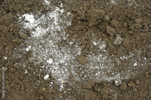 Obraz na płótnie Soil w salonie