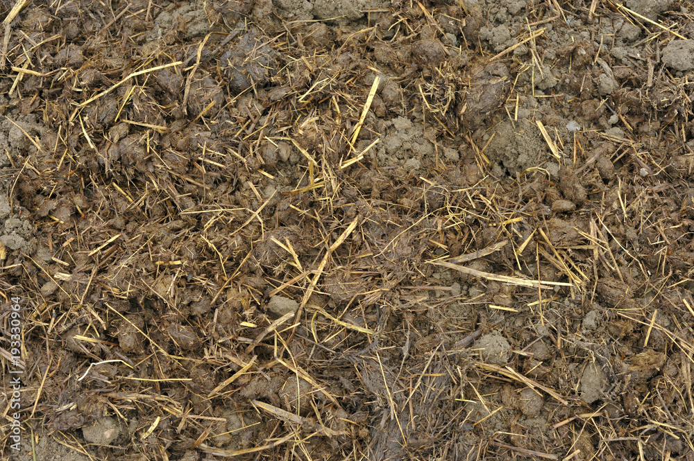 Soil