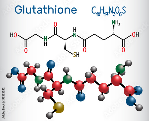Glutathione (GSH) molecule, is an important antioxidant in plants, animals and some bacteria. Structural chemical formula and molecule model photo