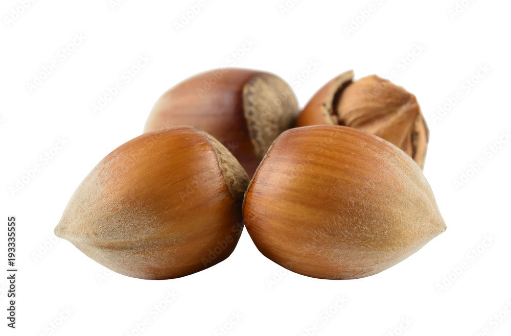 hazelnuts close-up isolated on white background