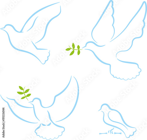 Set vier Grafiken Tauben