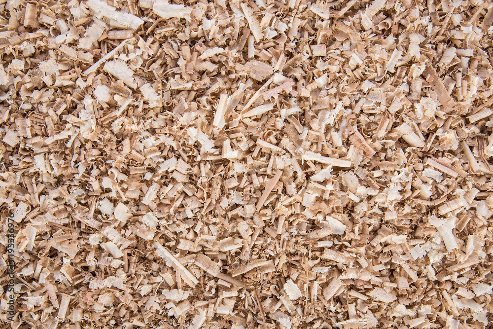 Wooden shavings, background and texture, black and white toning Wooden shavings, background and texture, black and white toning