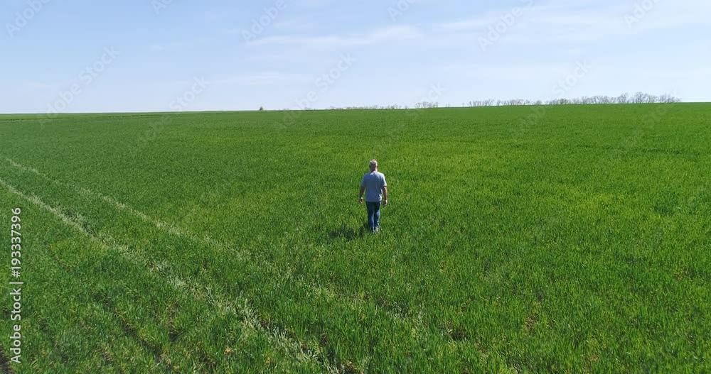 Back view of man walking on green field, aerial view Back view of man walking on green field, aerial view