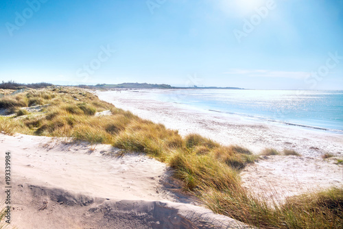 Fototapeta Naklejka Na Ścianę i Meble -  Rosignano Solvay Vada Castiglioncello, white sand beach and coast. Tuscany, Italy