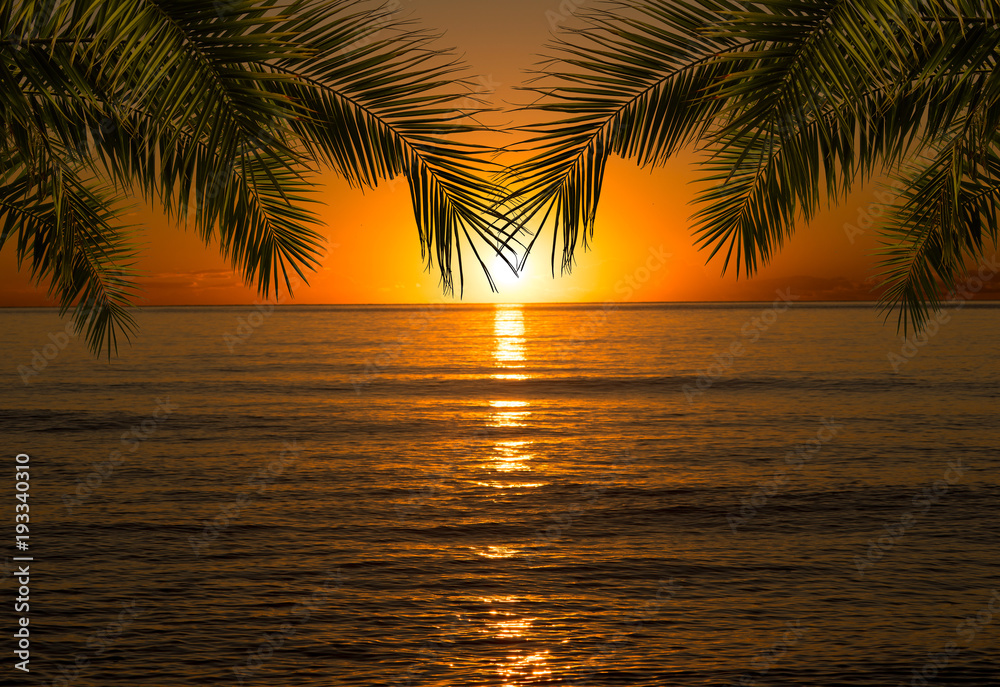 Sunrise in the sea with a framing of palm leaves