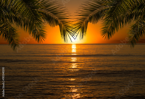 Sunrise in the sea with a framing of palm leaves