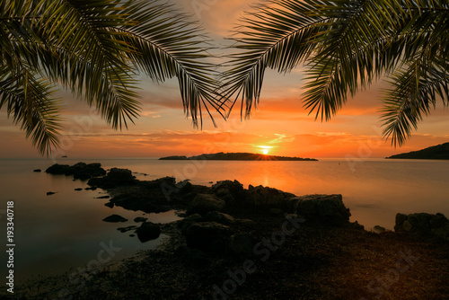 Obraz na płótnie A sunrise in Ibiza with a frame of palm leaves w salonie