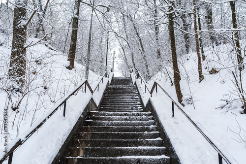 A view of the stairs from the bottom in the park. Stone staircase in the park in winter, around everything in the snow. © Александр Травин