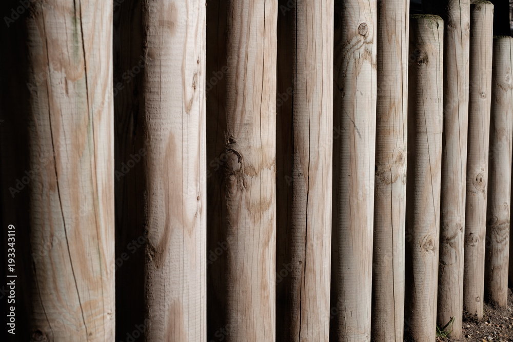 A series of upright new wooden stakes forming a fence A series of upright new wooden stakes forming a fence