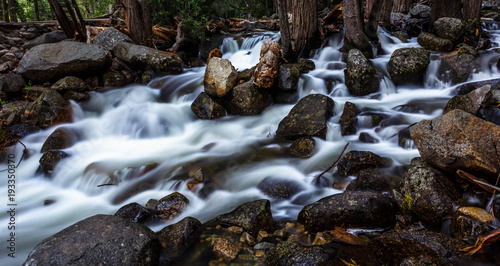 Rushing Water in the Trees