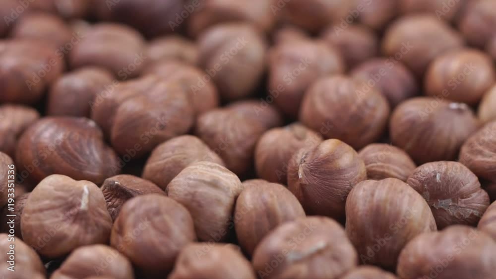 Hazelnut closeup. Rotating nuts background Hazelnut closeup. Rotating nuts background