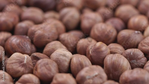 Wallpaper Mural Hazelnut closeup. Rotating nuts background Torontodigital.ca