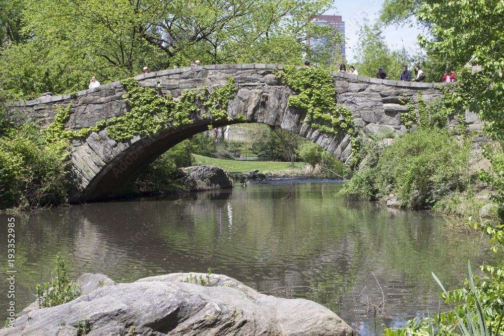 rock bridge rock bridge