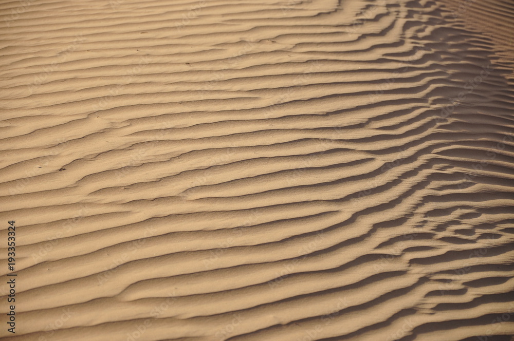 Desert
