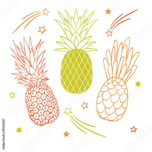 Vector set of three pastel pineapple fruit styles summer tropical object collection. Great for travel, party invitation or packaging.