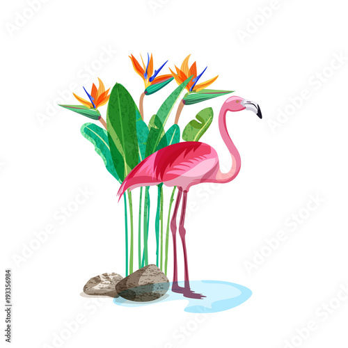 Tropical pink flamingo bird stands in water and strelitzia exotic flowers and green leaves on backdrop. Vector hand drawn illustration, design elements isolated on white background.