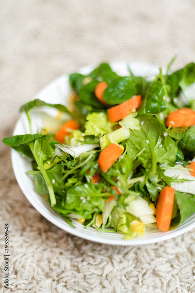 Healthy Vegetarian Vegetable Salad, Delicious Vegan Meal Healthy Vegetarian Vegetable Salad, Delicious Vegan Meal