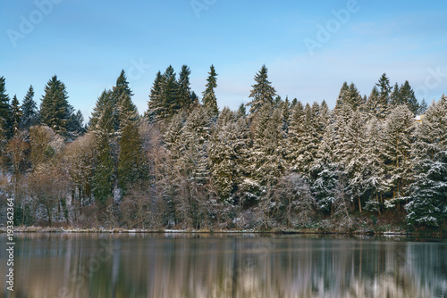Snow On the Evergreens Down By The Cove © John