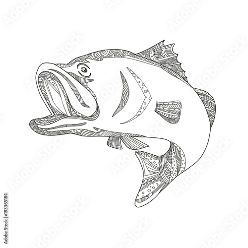 Doodle art illustration of a barramundi or Asian sea bass (Lates calcarifer), a species of catadromous fish jumping in black and white done in mandala style.