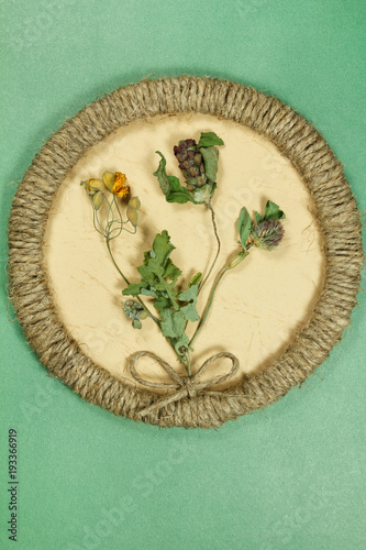 Herbarium. Prunella vulgaris  Clover  trefoil  Celandine. Dry plants. Scrapbooking.