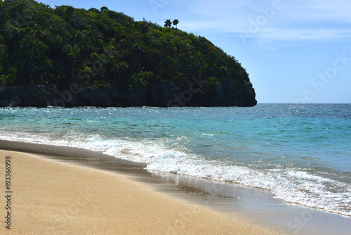 Paradise beach in Caribbean with gold sand and blue water