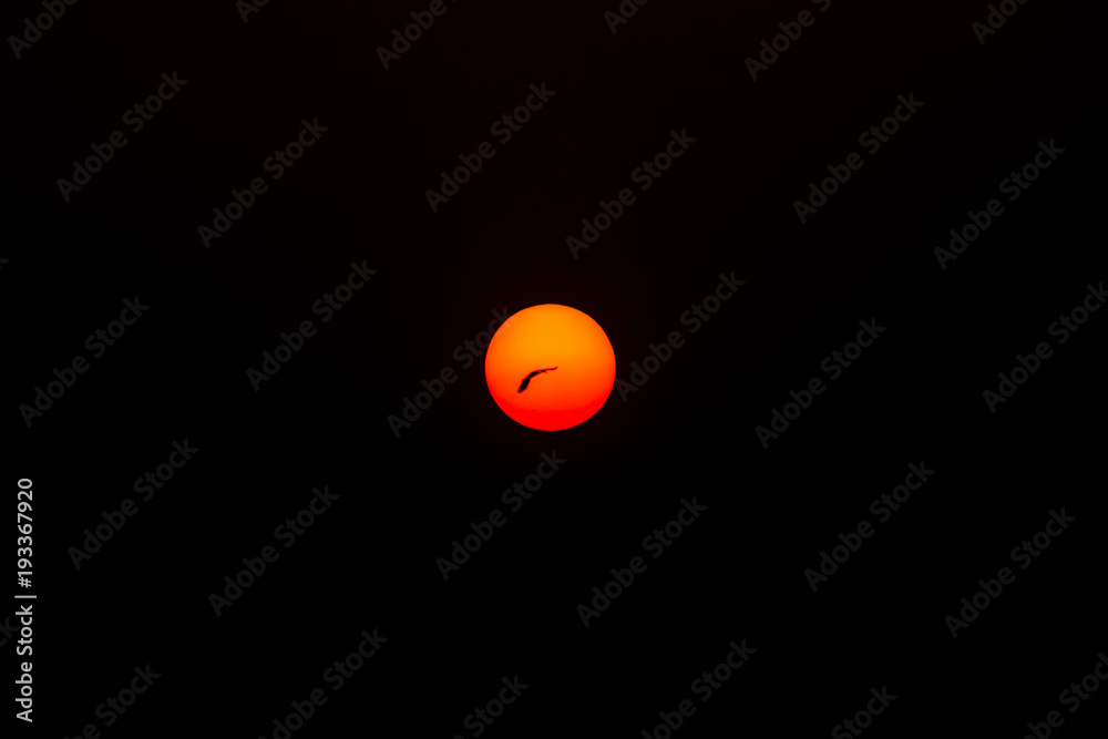 Sunrise Sunrise