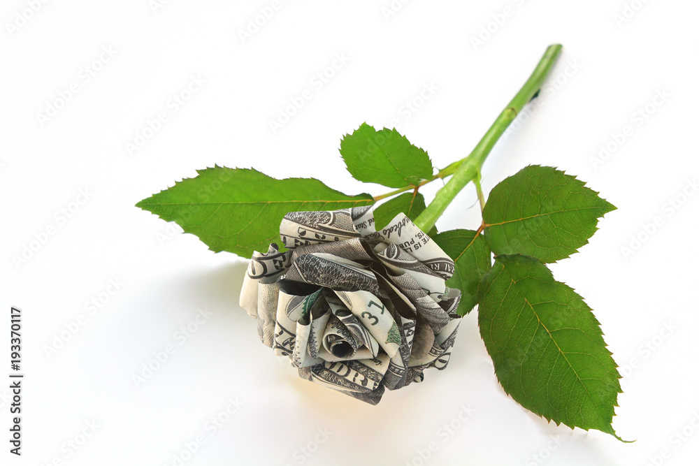 Rose Made Of Money