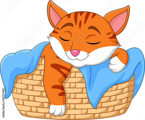 Cartoon cat sleeping in the basket