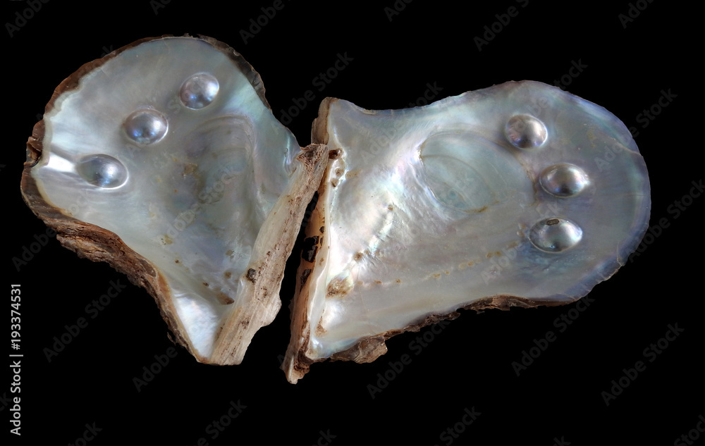 Stock online blister shells