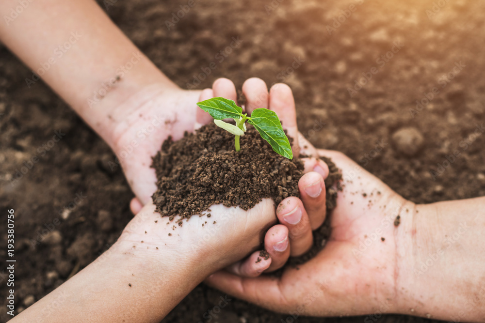 concept eco hand helping holding protection young plant concept eco hand helping holding protection young plant
