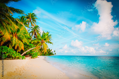 tropical sand beach with palm trees