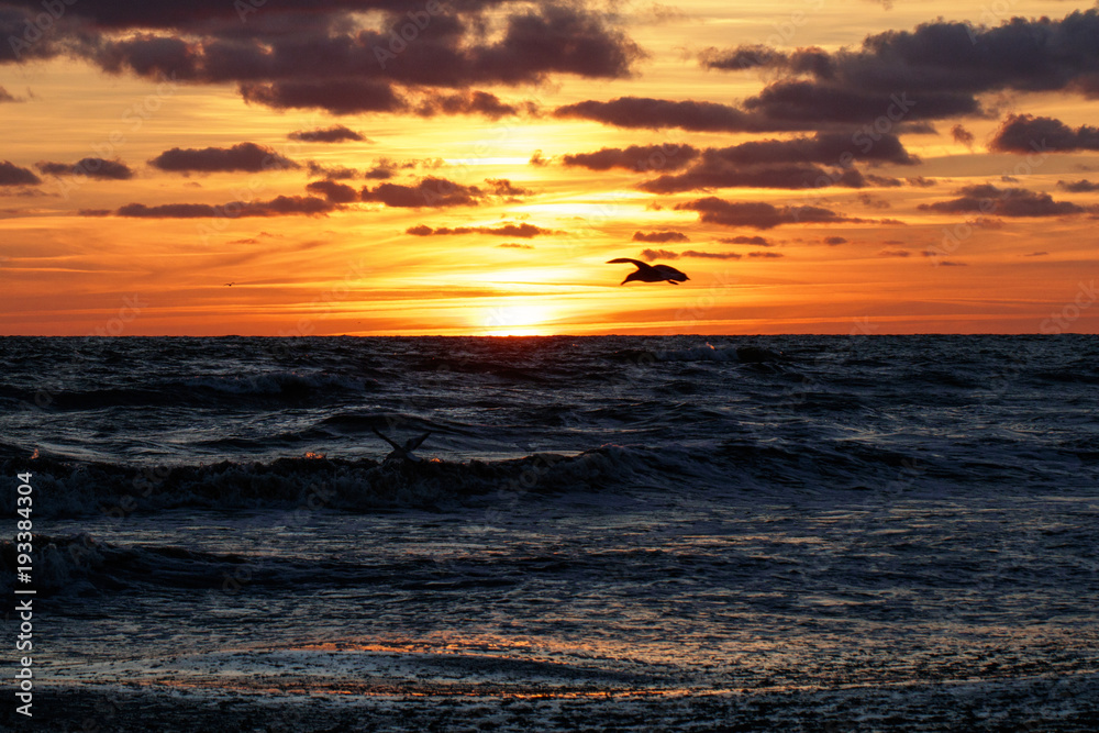 Obraz premium beautiful sunset on the sea