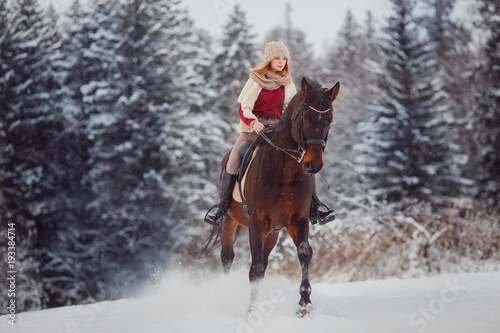 Close-up of horse with rider is walking around field in winter forest. Walking through farm, grazing animals