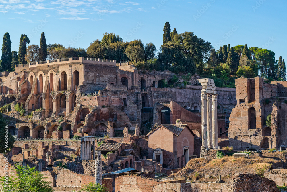 The roman forum