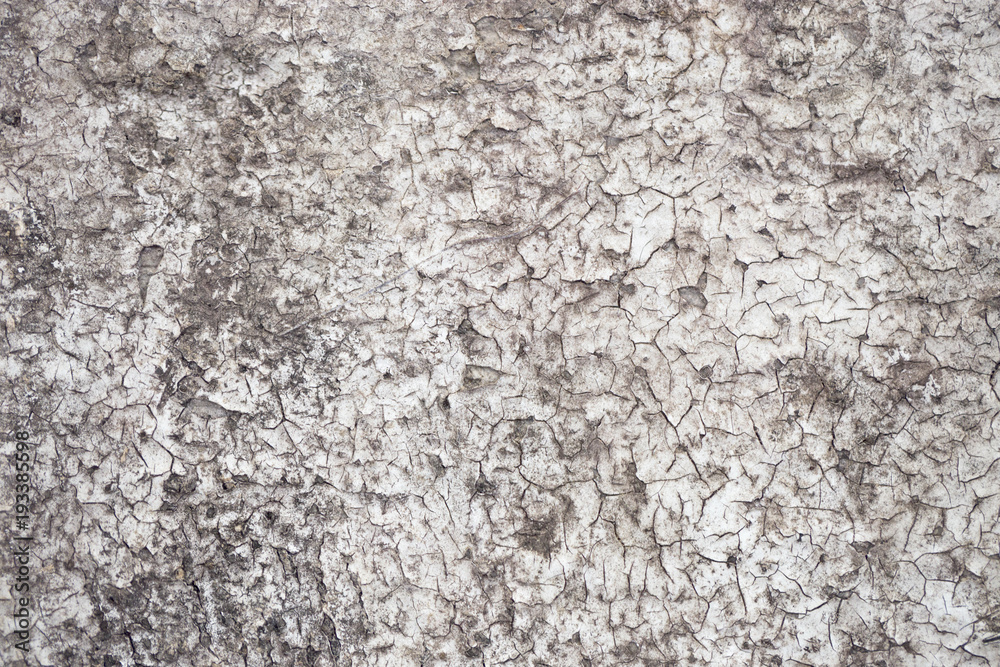 Texture. Old cracked plaster Texture. Old cracked plaster
