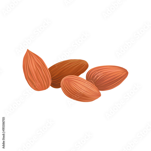 Cartoon icon of dried almond nuts in brown shell. Healthy food. Tasty vegetarian snack. Organic product. Culinary ingredient. Detailed vector design