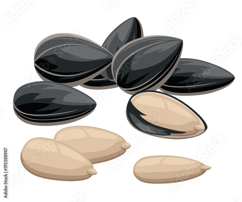 Sunflower seeds in a shell and without ready to eat snack vector illustration isolated on white background web site page and mobile app design