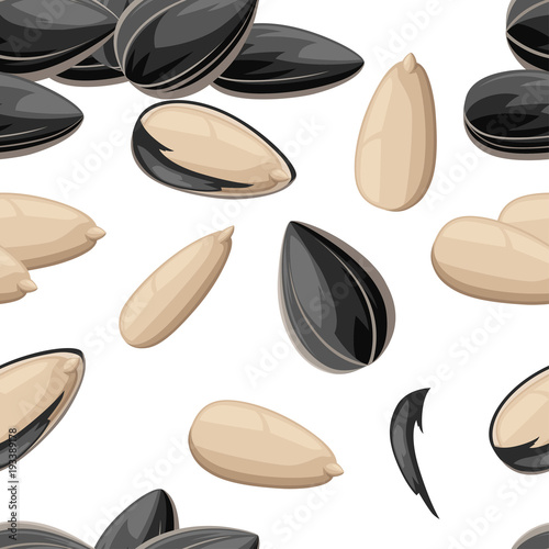 Seamless pattern of sunflower seeds in a shell and without ready to eat snack vector illustration on white background web site page and mobile app design
